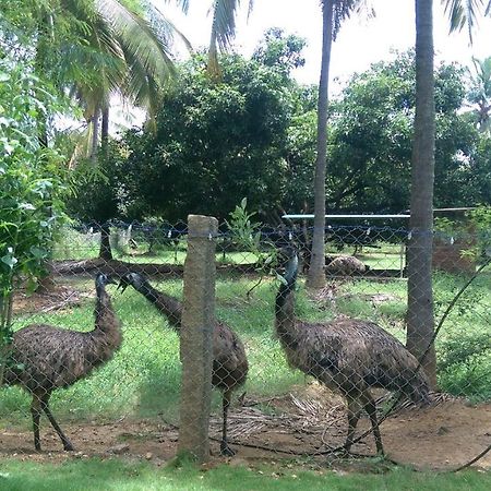 Mango Village Farm House Nelliyampathy Ngoại thất bức ảnh